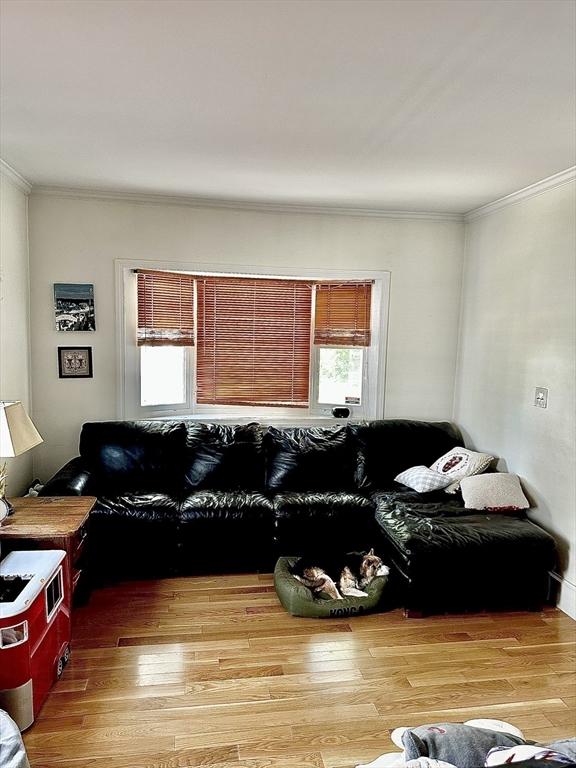 11 Moynan St, New Bedford, MA 02745 - living area featuring ornamental molding and light wood-type flooring