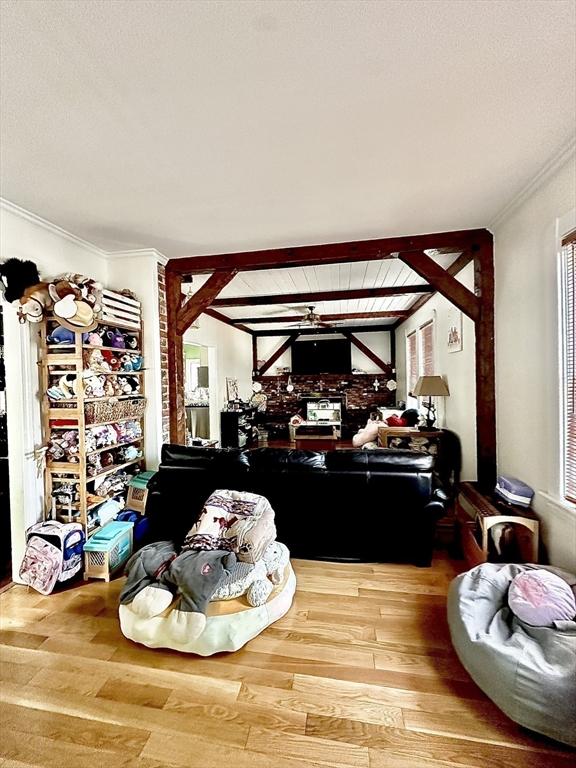 11 Moynan St, New Bedford, MA 02745 - living room with wood finished floors, ceiling fan, and crown molding