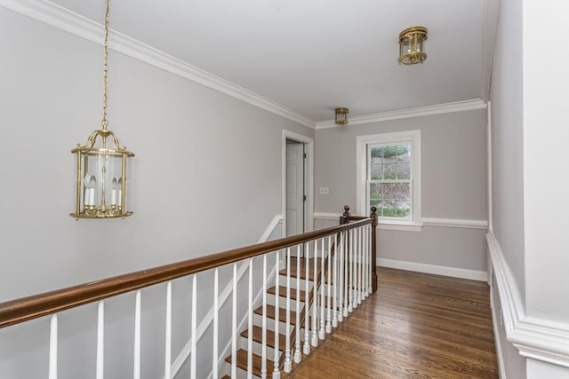 hallway featuring dark wood-type flooring and ornamental molding