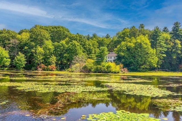 view of property's community with a water view