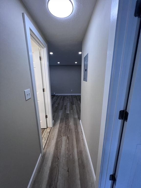 12 Woodland St Unit 12, Everett, MA 02149 - hall with wood finished floors, baseboards, and electric panel