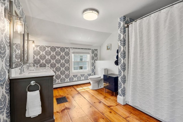 228 Main St, Groton, MA 01450 - full bath with toilet, hardwood / wood-style floors, vanity, vaulted ceiling, and a baseboard radiator