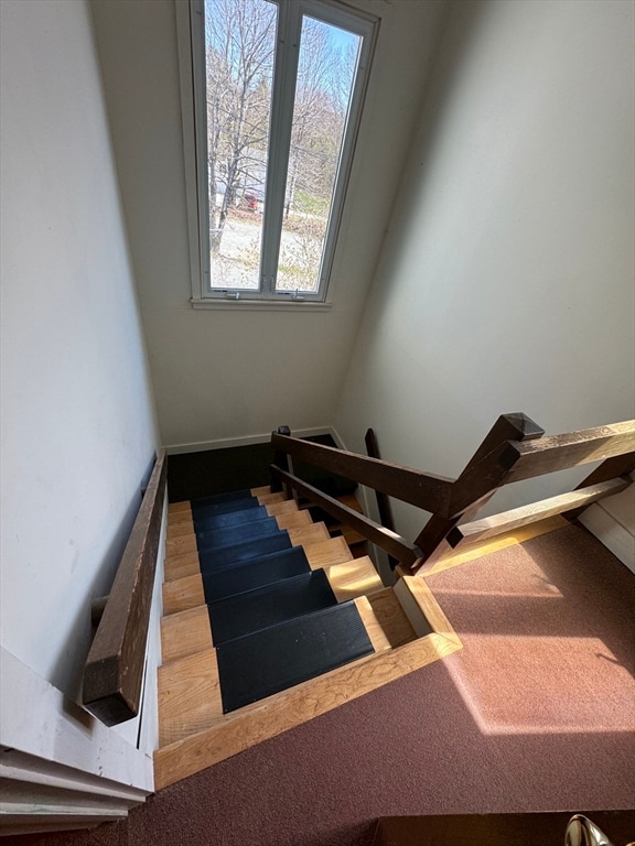 stairway featuring hardwood / wood-style flooring