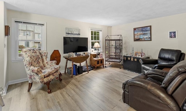 10 Oak Ridge Dr Unit 6, Maynard, MA 01754 - living room featuring wood finished floors and baseboards