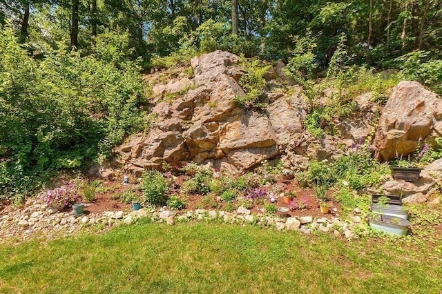 10 Oak Ridge Dr Unit 6, Maynard, MA 01754 - view of nature