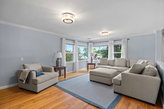 57 Hampton St, Auburn, MA 01501 - living room with crown molding and light wood-type flooring