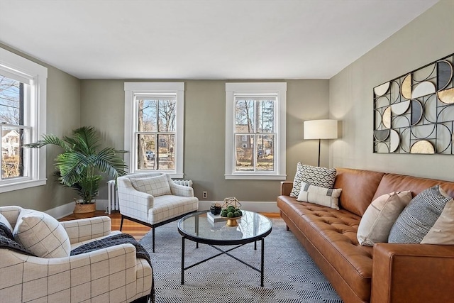 living area featuring baseboards and wood finished floors