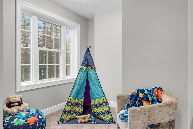 62 Bolton Rd Applewood, Unit Applewood, Westminster, MA 01473 - recreation room with carpet flooring and baseboards