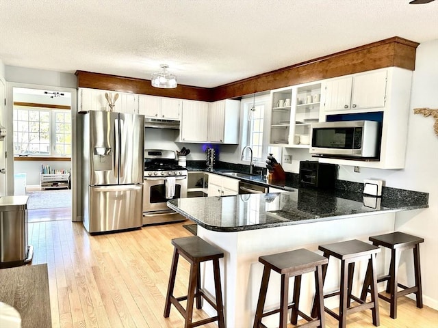 kitchen featuring stainless steel appliances, a sink, a peninsula, under cabinet range hood, and light wood finished floors