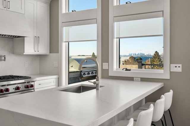 kitchen with light countertops, a kitchen breakfast bar, white cabinets, and ventilation hood