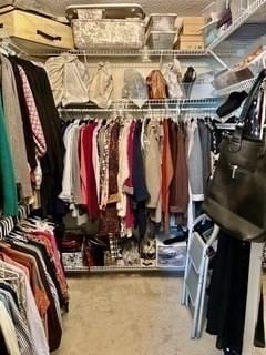 40 Village Rd Unit 606, Middleton, MA 01949 - spacious closet with carpet flooring