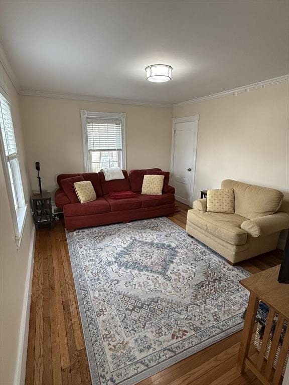 living room with ornamental molding and wood-type flooring