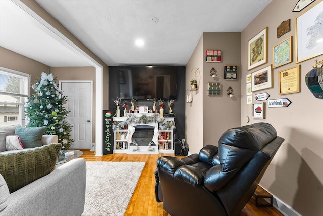 living room featuring hardwood / wood-style flooring and a fireplace