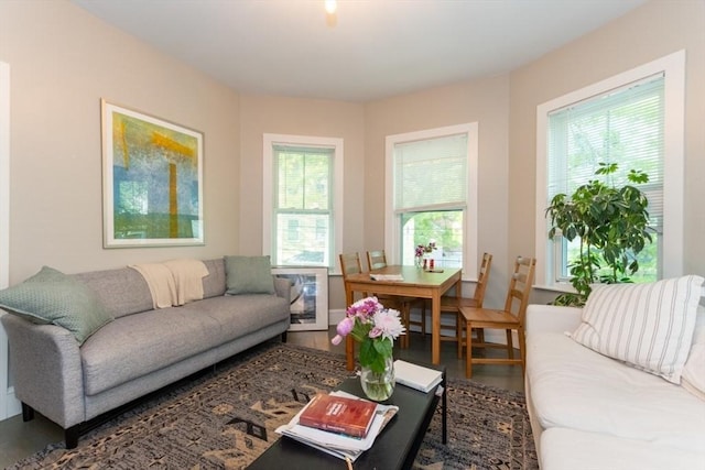 living room featuring healthy amount of natural light and wood finished floors