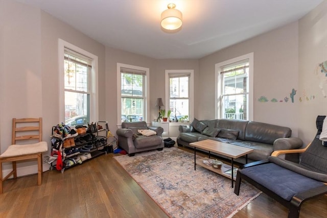 living room featuring wood finished floors