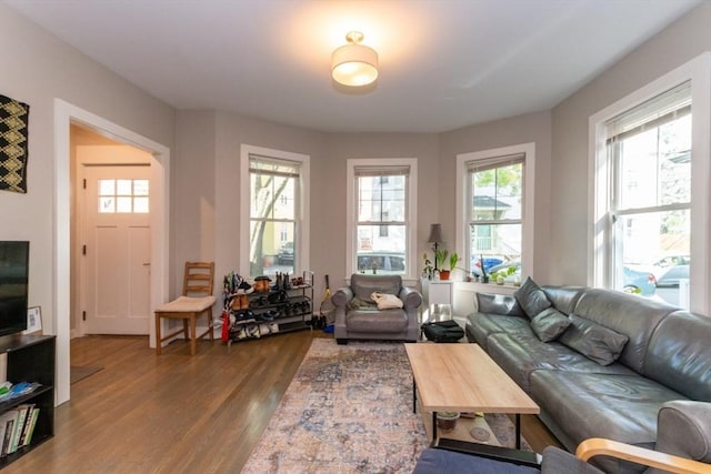 living room featuring wood finished floors