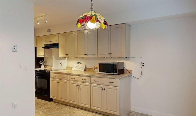 33 Cobblestone Ln Unit 33, Worcester, MA 01606 - kitchen with black / electric stove, stainless steel microwave, under cabinet range hood, and light countertops