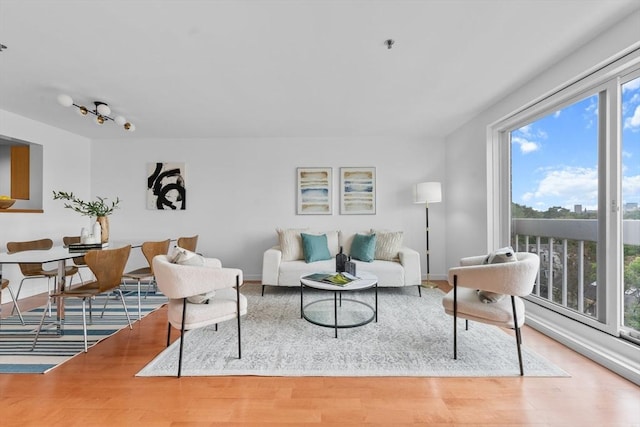 living room with baseboards and wood finished floors