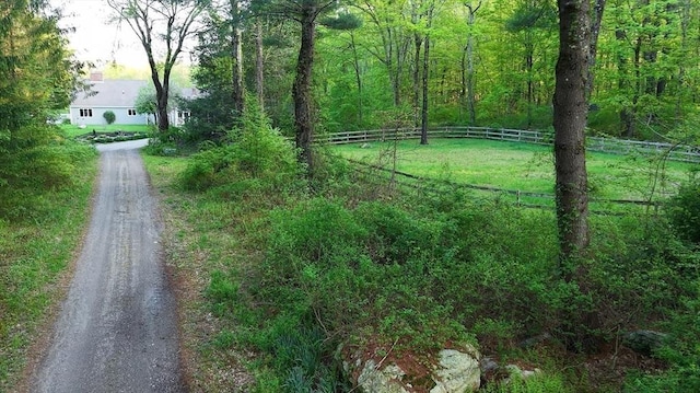 697 Rte 197, Woodstock, CT 06281 - view of dirt / gravel driveway