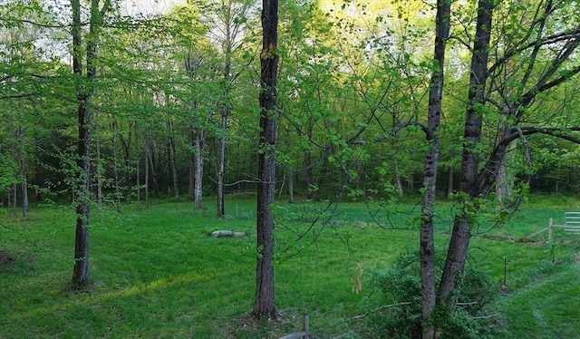 697 Rte 197, Woodstock, CT 06281 - view of woods