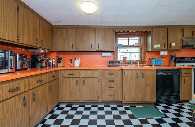 30 Everett St, Woburn, MA 01801 - kitchen featuring black dishwasher, under cabinet range hood, dark flooring, and a sink