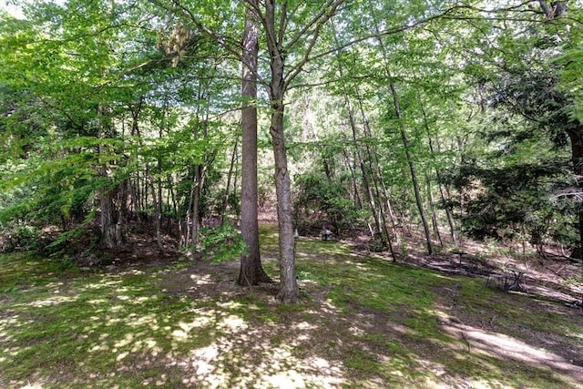 29 Benjamin Landing Ln Unit 29, Franklin, MA 02038 - view of tree filled area
