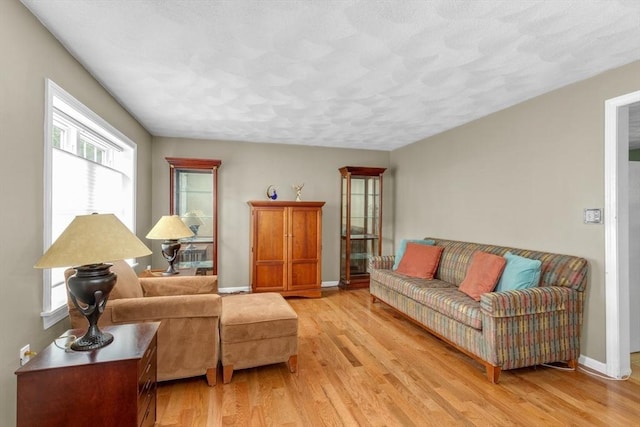 29 Benjamin Landing Ln Unit 29, Franklin, MA 02038 - living room featuring light wood-style flooring and baseboards