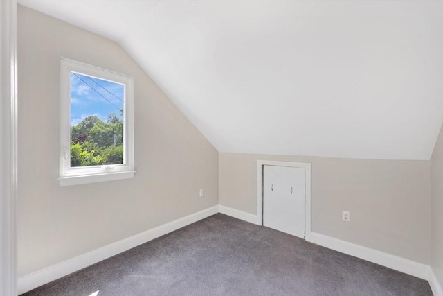24 Azalea Way, Belchertown, MA 01007 - bonus room featuring lofted ceiling and dark colored carpet