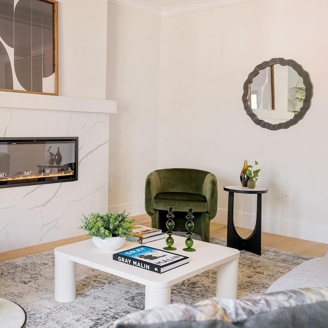 living room with a fireplace and crown molding