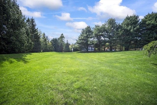 view of grassy yard