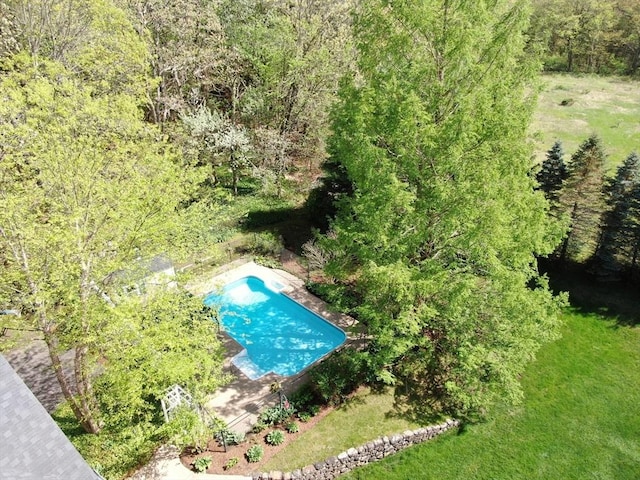 bird's eye view of a pool area and a forest