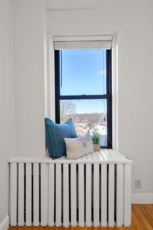 details featuring radiator, baseboards, and wood finished floors