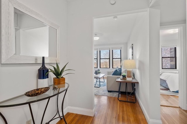 hallway featuring baseboards and wood-type flooring