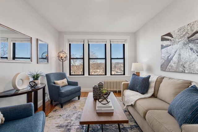 living room with baseboards, radiator, and wood finished floors