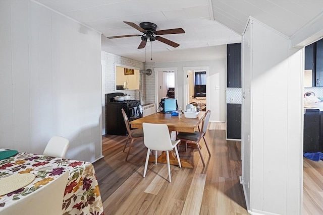 19 Chester St, Fitchburg, MA 01420 - dining room with light wood-style floors and a ceiling fan