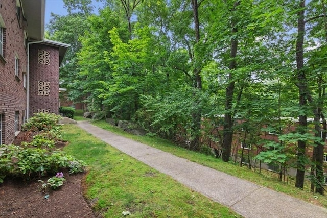 56 Jacqueline Rd Unit 12, Waltham, MA 02452 - view of yard