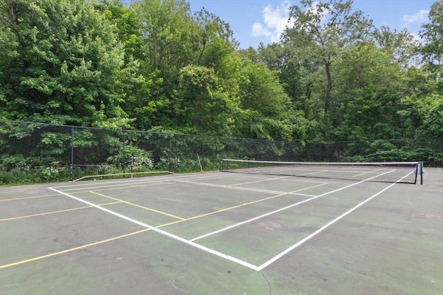 56 Jacqueline Rd Unit 12, Waltham, MA 02452 - view of tennis court