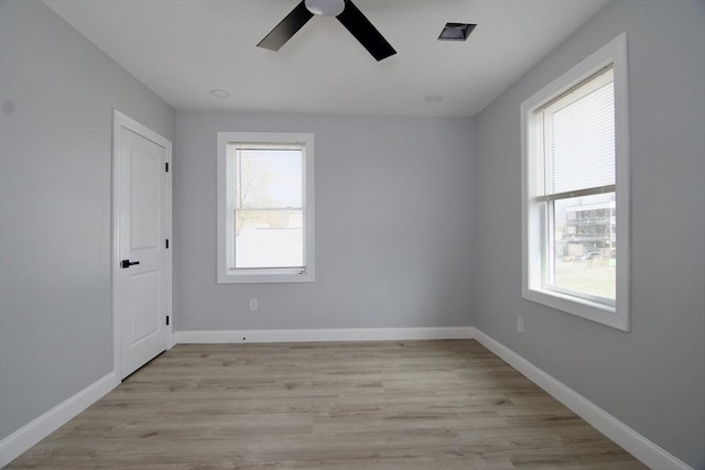 664 Mckinstry Ave, Chicopee, MA 01020 - empty room featuring a ceiling fan, healthy amount of natural light, and light wood-style flooring