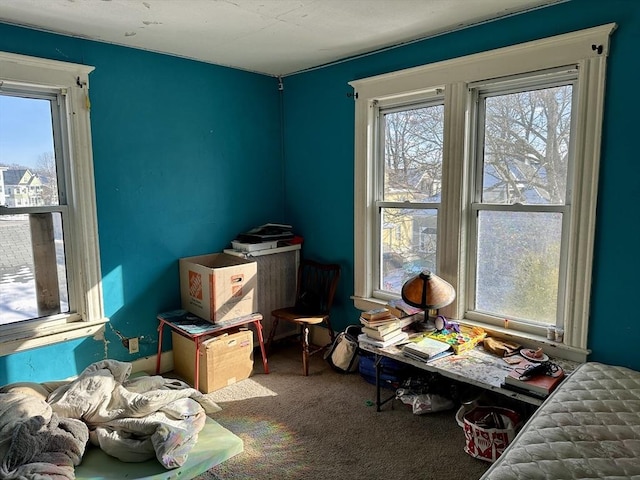 miscellaneous room featuring carpet floors