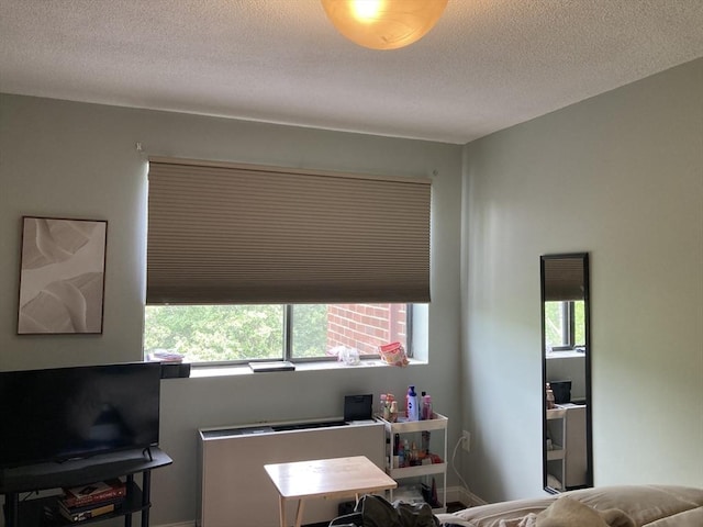 2 Summit Unit 68, Reading, MA 01867 - bedroom featuring a textured ceiling