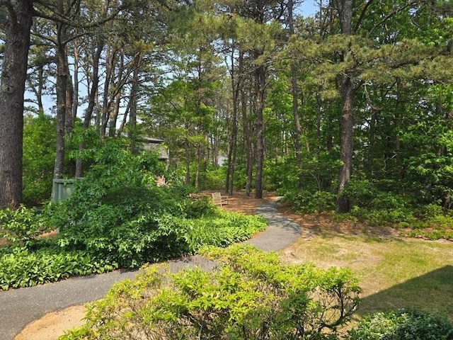 432 Old Chatham Rd Unit 504, Dennis, MA 02660 - view of community