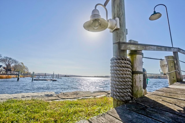 dock area with a water view