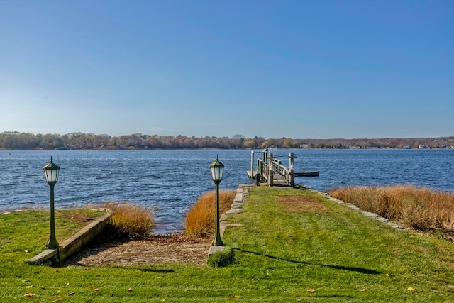 dock area with a water view