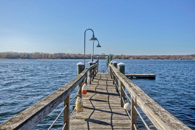 dock area with a water view