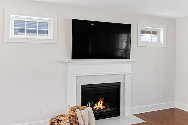 details featuring a premium fireplace, wood finished floors, and baseboards