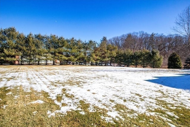 view of yard layered in snow