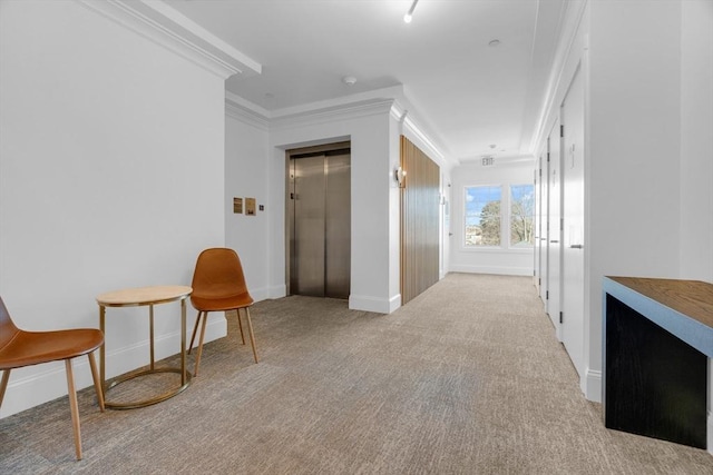 hall with baseboards, elevator, ornamental molding, and carpet flooring