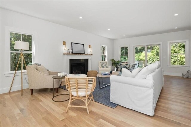 living room with light hardwood / wood-style floors