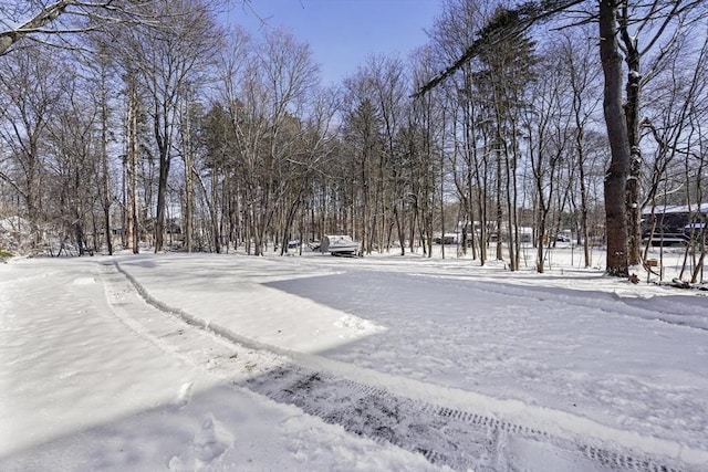 view of yard covered in snow