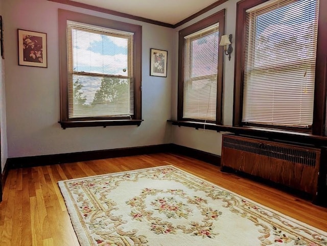 43 Brunswick Rd, Arlington, MA 02474 - spare room with wood finished floors, ornamental molding, baseboards, and radiator heating unit